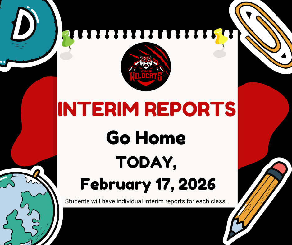 Interim Report